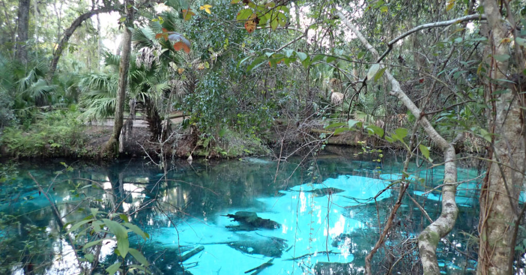 Look but don't touch! Fern Hammock Springs is an ecologically sensitive area. Photo: unofficialflorida.com.