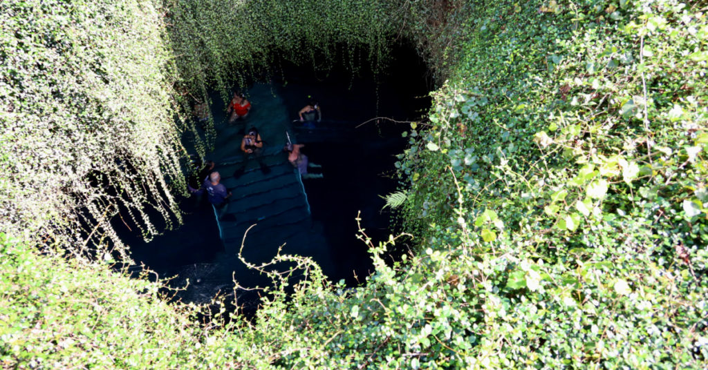 View into Devil's Den Prehistoric Spring from the top. Photo: unofficialflorida.com.