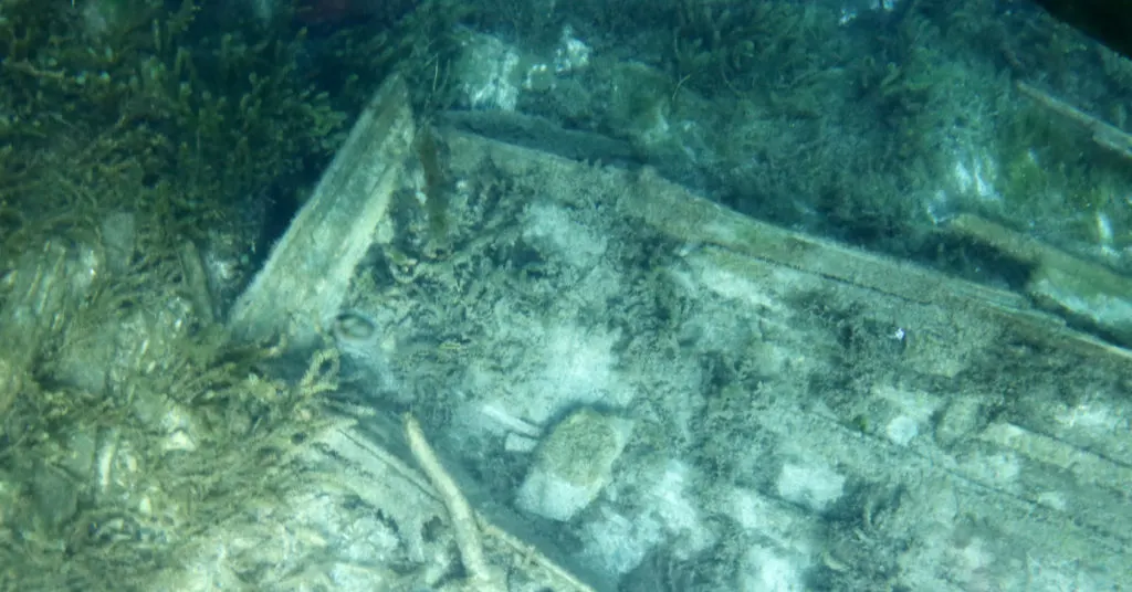 Sunken boat at Silver Springs, as seen from the glass bottom boat tour. Photo: unofficialflorida.com.