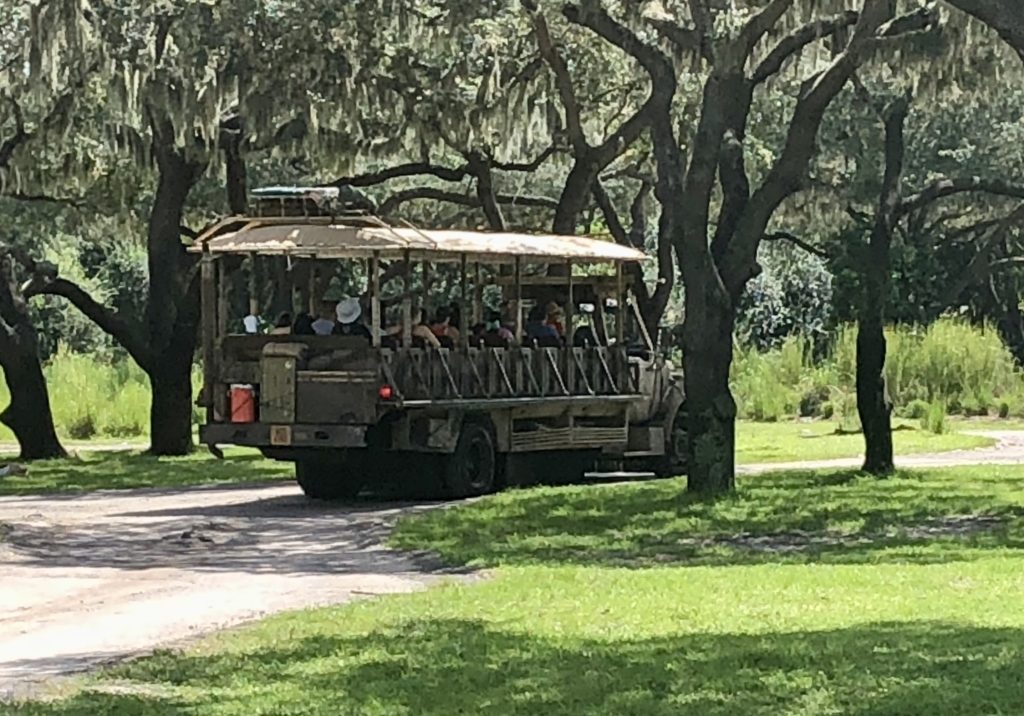 If you are pregnant, Disney recommends you skip the you'll want to skip Kilimanjaro Safaris at Disney's Animal Kingdom - Disney Rides While Pregnant - by unofficialflorida.com.