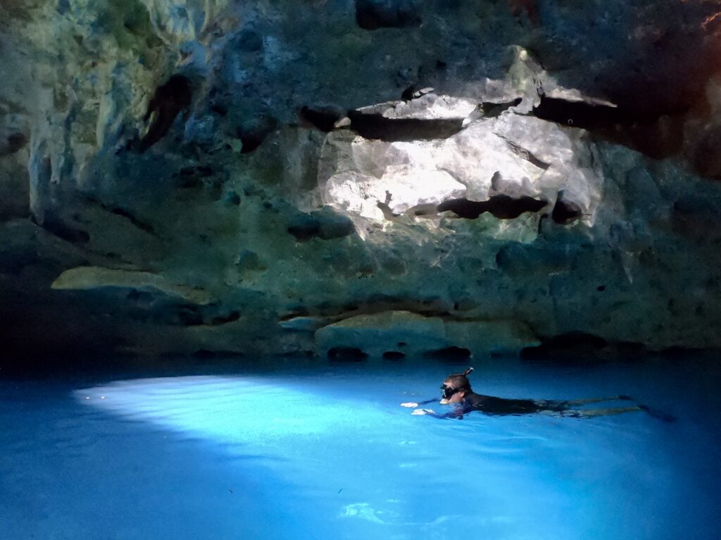 Snorkeling - What to Know Before You Visit Devil's Den - Williston, Florida - unofficialflorida.com.