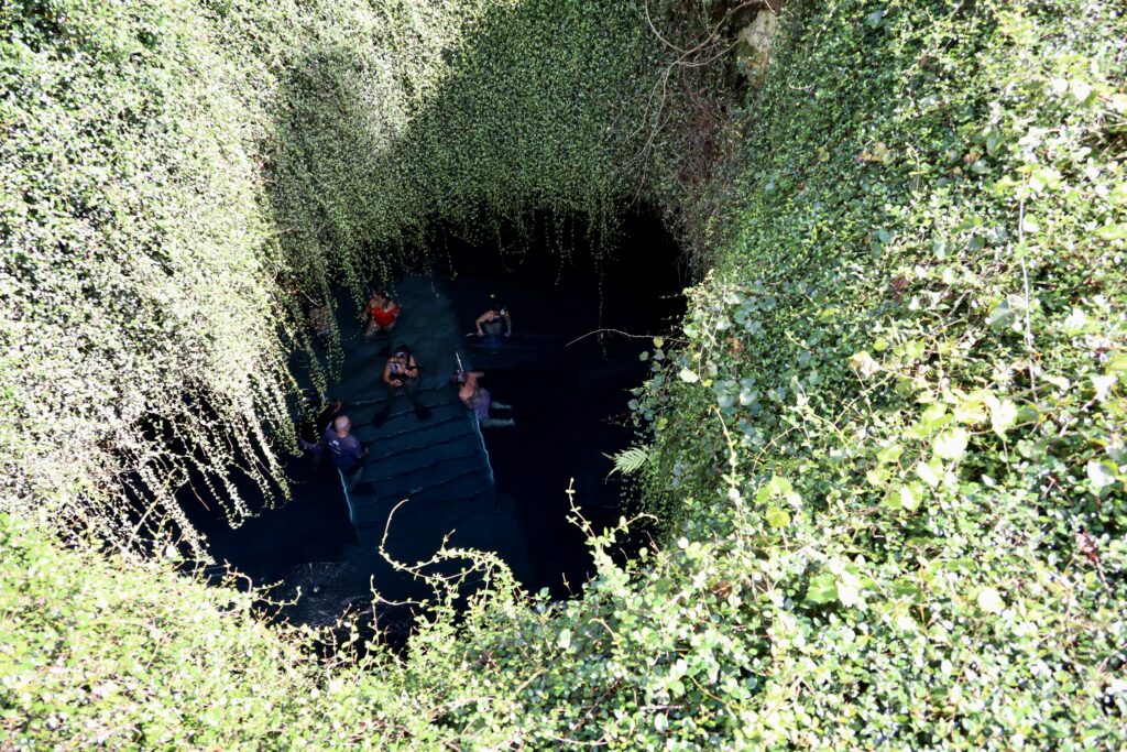 Looking into Devil's Den from above - What to Know Before You Visit Devil's Den - Williston, Florida - unofficialflorida.com.