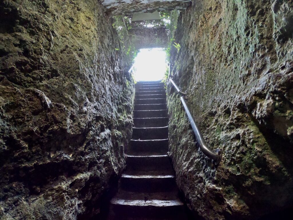 Stairs into Devil's Den - What to Know Before You Visit Devil's Den - Williston, Florida - unofficialflorida.com.